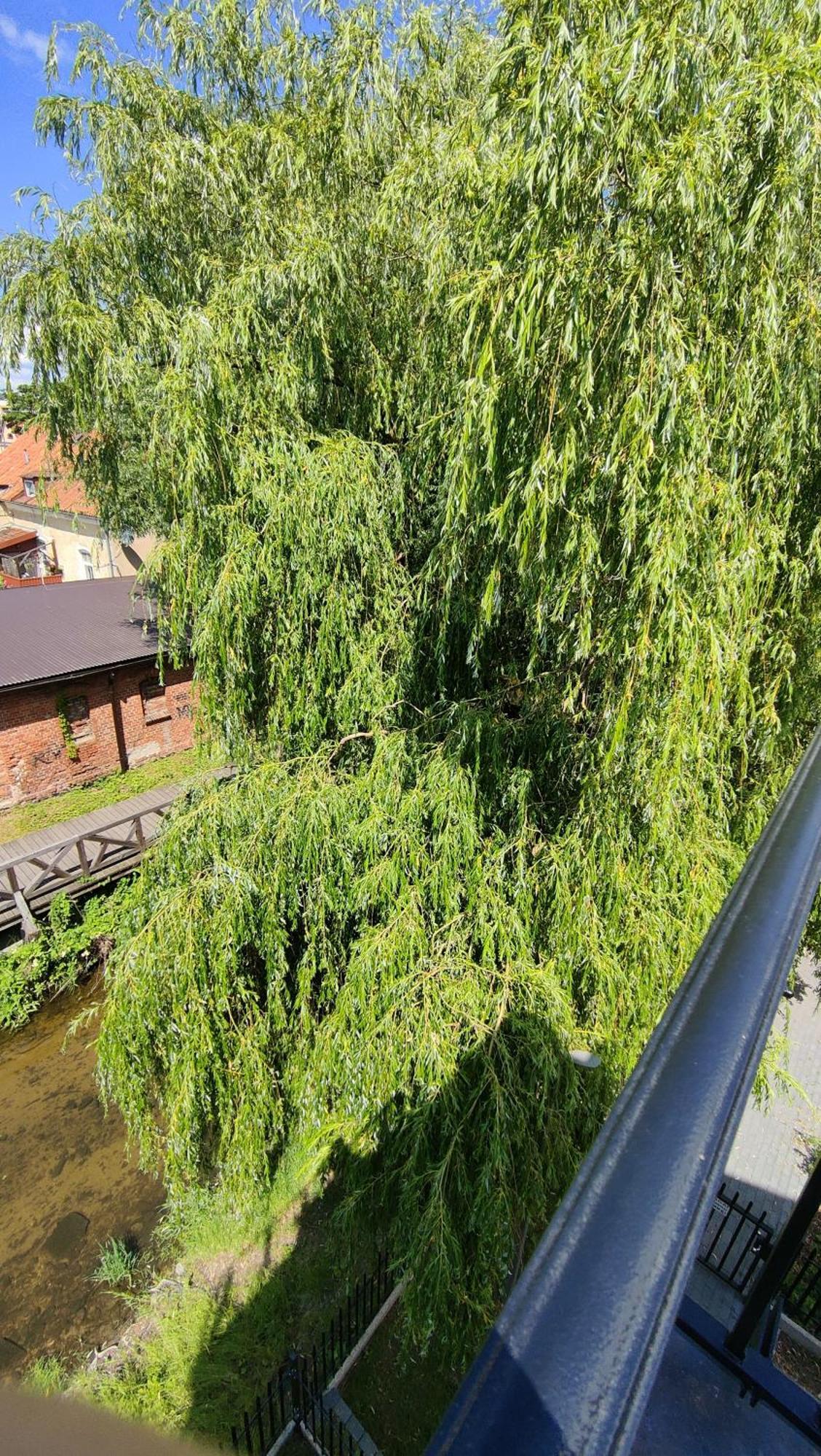 Apartament Nad Rzeka Lega Olecko Zewnętrze zdjęcie
